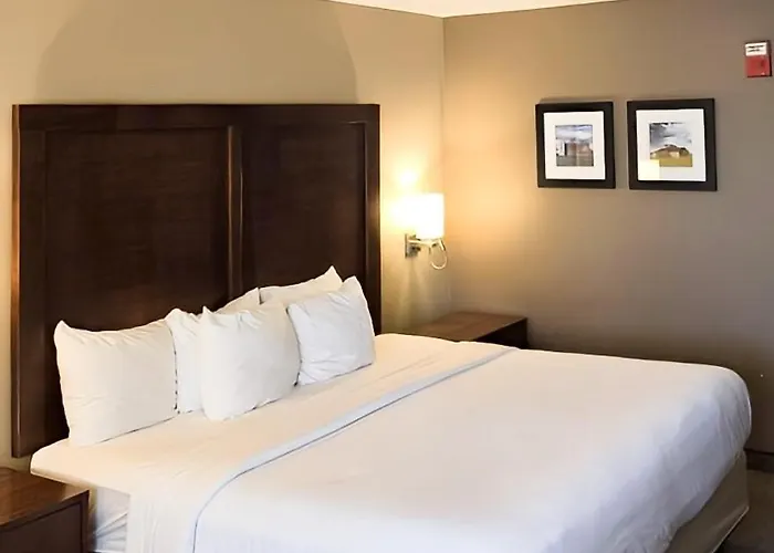 Comfort Inn Marshalltown South